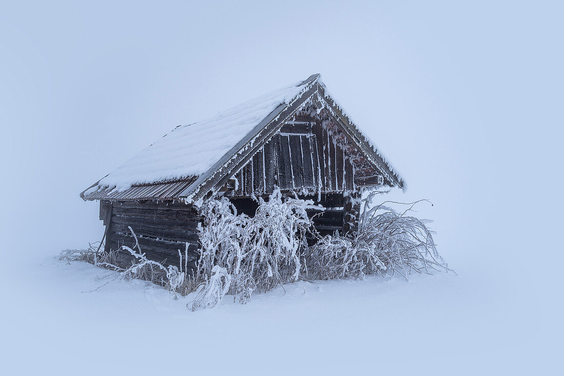 Frozen small barn in Kochelmoos, Schlehdorf, Upper Bavaria, Bavaria, Germany