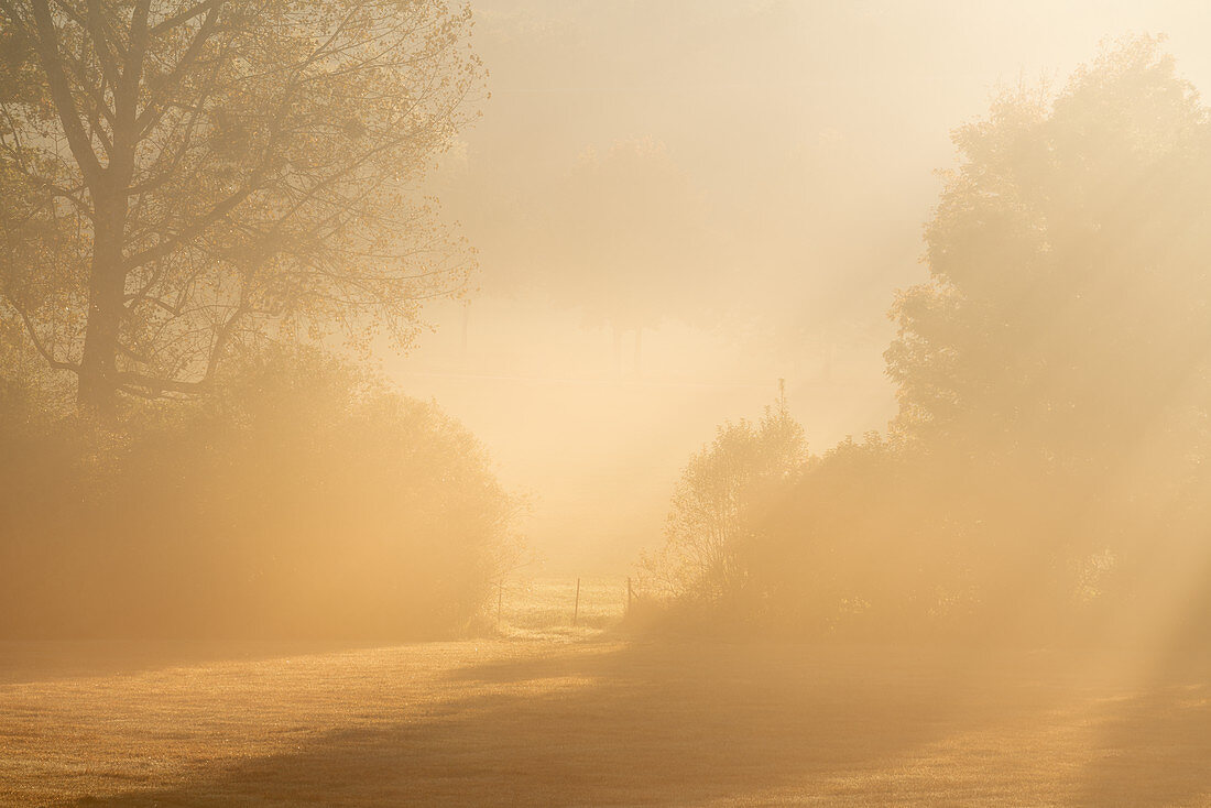 Sonnenaufgang im Oktober in der Nähe von Weilheim, Oberbayern, Bayern, Deutschland