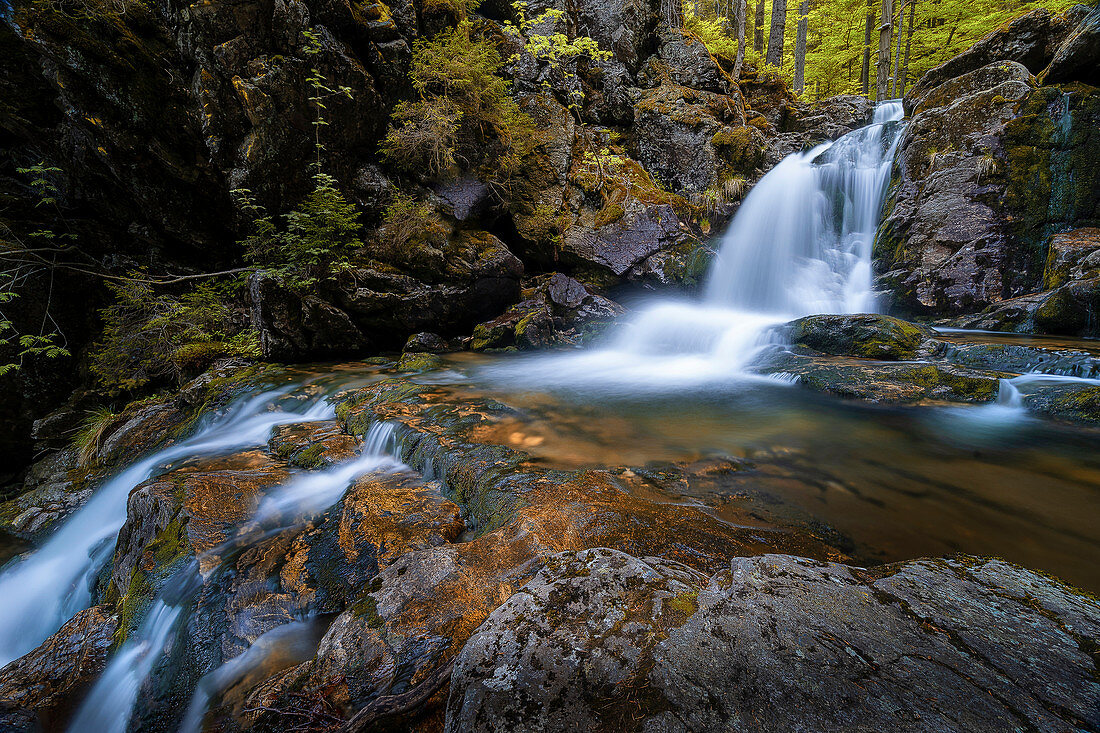 An den Rissloch-Wasserfällen bei Bodenmais, Bayrischer Wald, Bayern, Deutschland