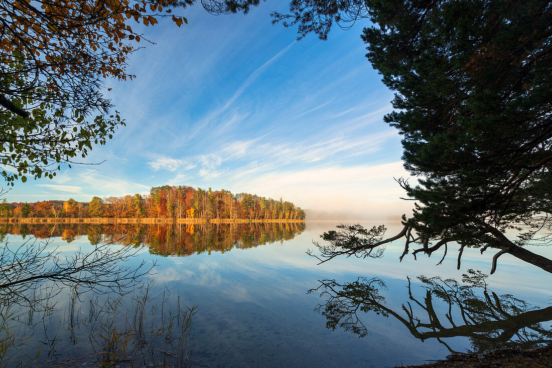 Autumn morning at the Osterseen, Upper Bavaria, Bavaria, Germany