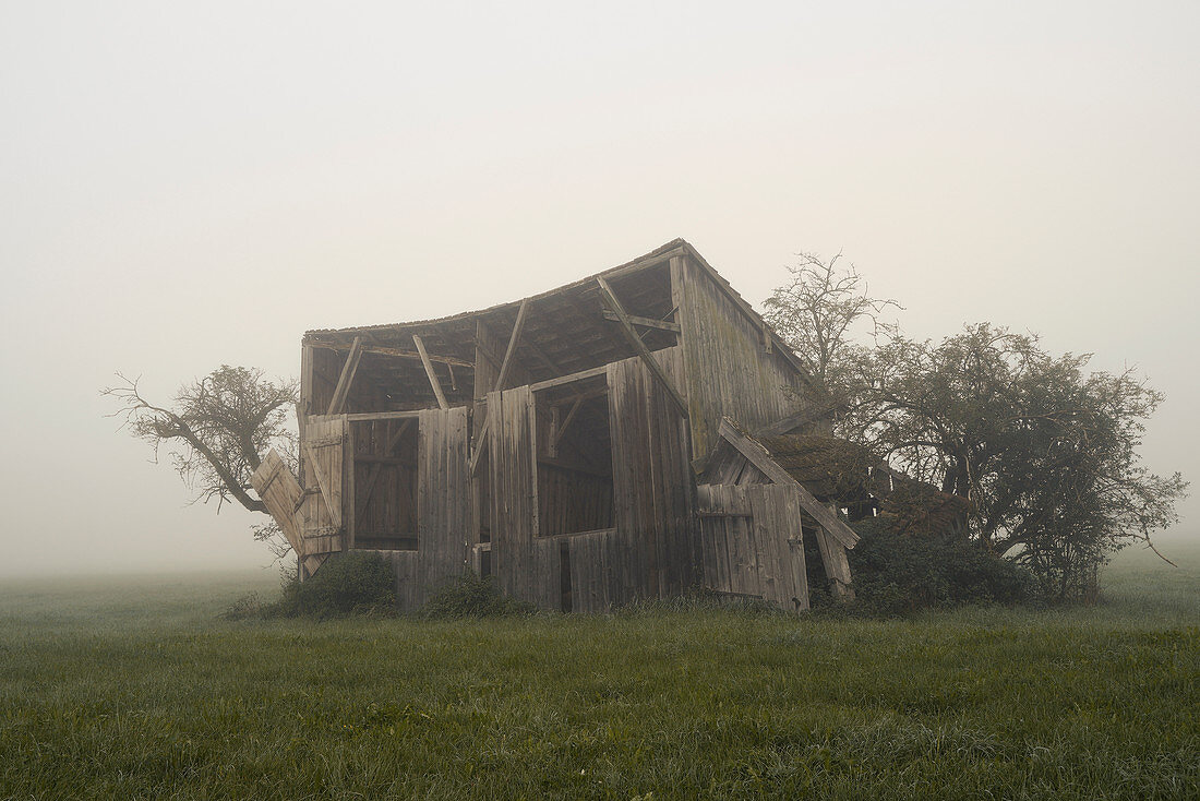 Old barn in the Weilheimer Moos, Weilheim, Upper Bavaria, Bavaria, Germany