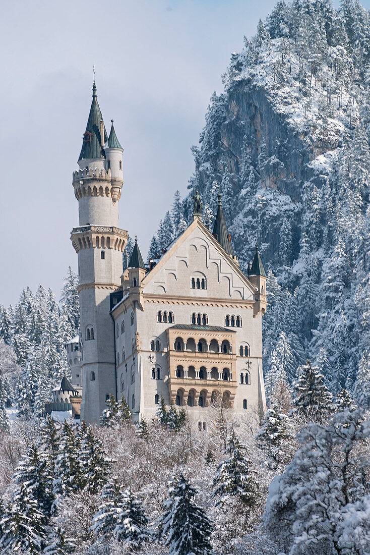 Schloss Neuschwanstein aus dem 19. Jahrhundert oberhalb von Hohenschwangau bei Füssen, Bayern, Deutschland
