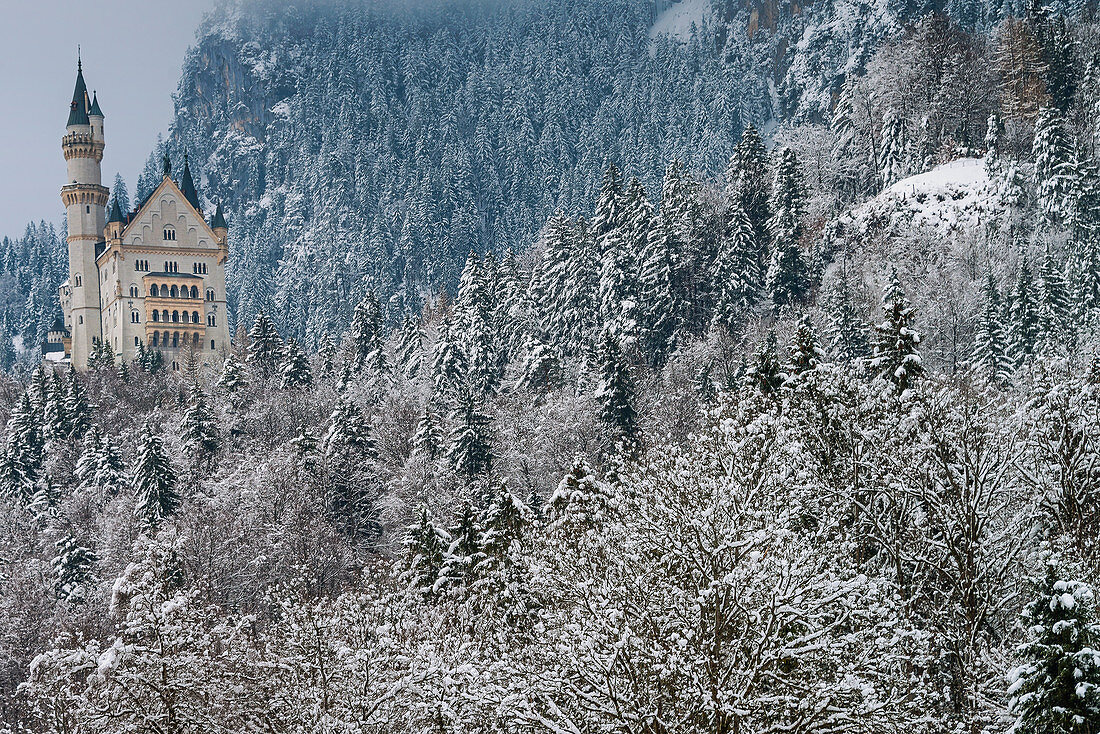 Neuschwanstein Castle ("New Swanstone Castle") is a 19th-century Romanesque Revival palace on a rugged hill above the village of Hohenschwangau near Füssen in southwest Bavaria, Germany. The palace was commissioned by Ludwig II of Bavaria as a retreat and as homage to Richard Wagner. Ludwig paid for the palace out of his personal fortune and by means of extensive borrowing, rather than Bavarian public funds. The castle was intended as a home for the king, until he died in 1886. It was open to the public shortly after his death. Since then more than 61 million people have visited Neuschwanstein