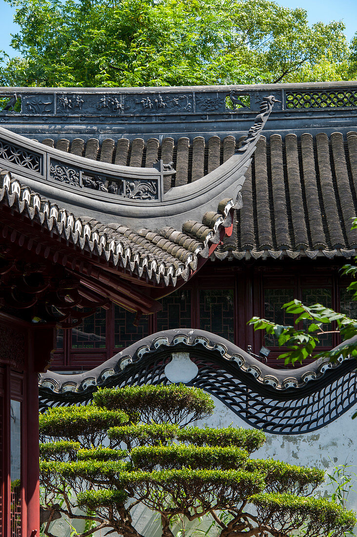 Die Drachenwand im Yu-Garten oder Yuyuan-Garten, einem weitläufigen chinesischen Garten neben dem Stadtgott-Tempel im Nordosten der Altstadt von Shanghai, China.