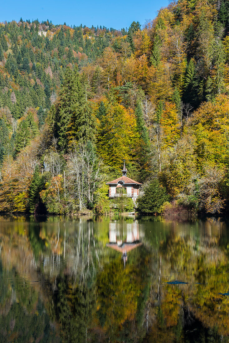 Maison Monsieur, der Fluss Doubs in einem gemäßigten europäischen Wald, Schweiz