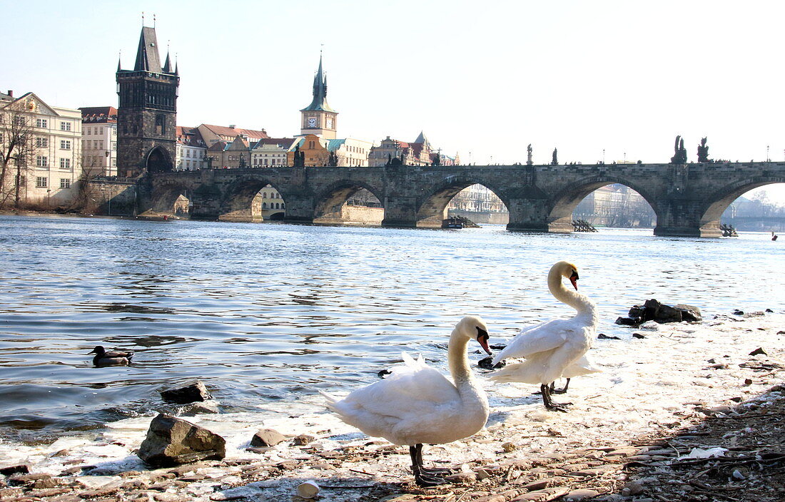 Die Karlsbrücke in Prag, Tschechische Republik am 2. März 2018