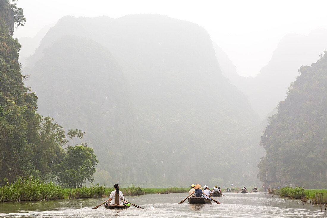 Ngo Dong Fluss, Tam Coc in der Nähe von Ninh Binh, in der Nähe von Hanoi, Vietnam, Touristen in Ruderbooten