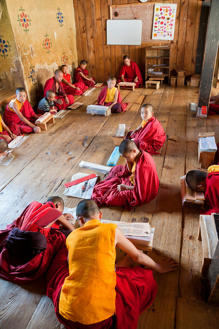 Junge Mönche studieren, Chimi Lhakhang Kloster, Pana, Bhutan