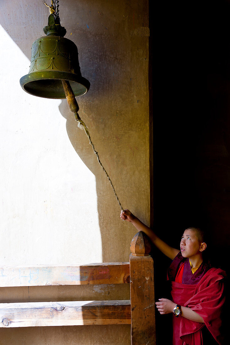 Junger Mönch läutet mit der Glocke, Festival; Gangtey Dzong oder Kloster; Phobjikha-Tal, Bhutan
