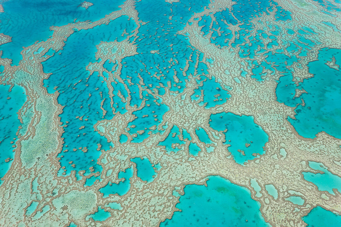 Luftaufnahme des Great Barrier Reef, Queensland, Australien