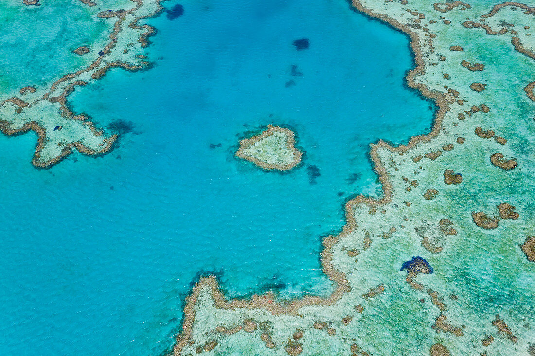 Luftaufnahme des Heart Reef, Teil des Great Barrier Reef, Queensland, Australien