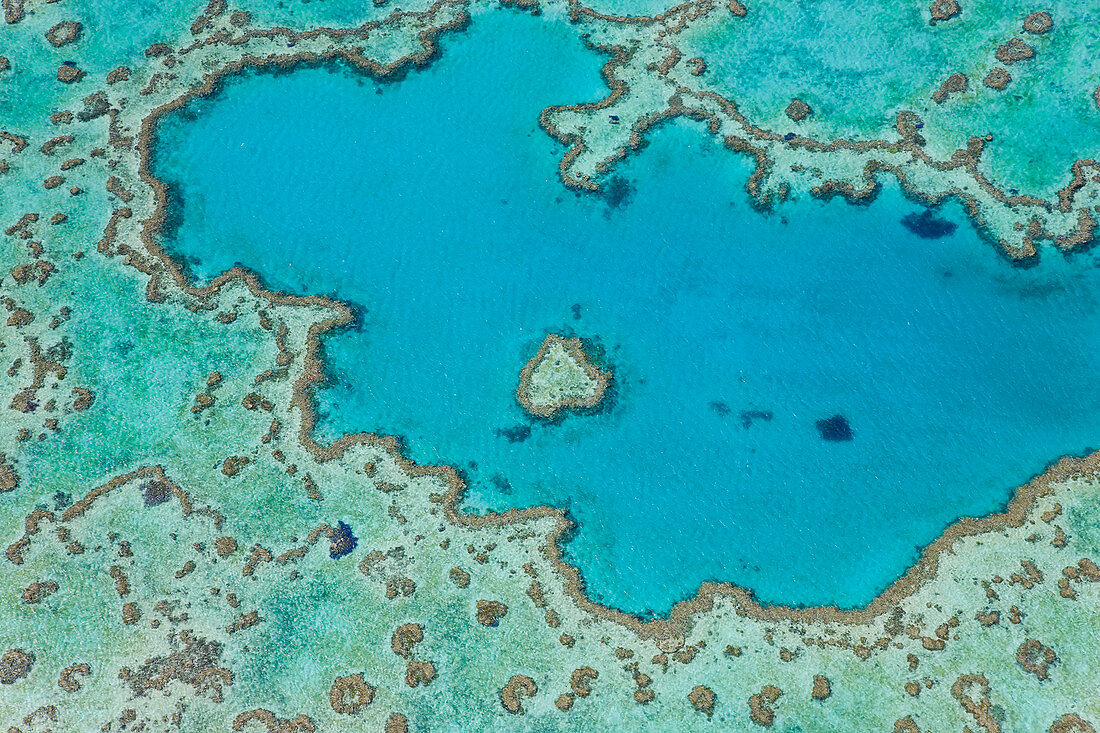 Luftaufnahme des Heart Reef, Teil des Great Barrier Reef, Queensland, Australien