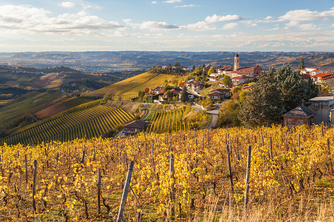 Vineyards and castle, near Alba, Langhe, Italy