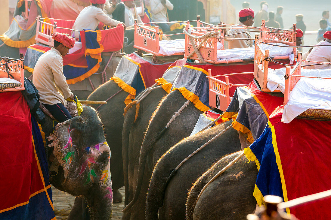 Elefanten und Mahouts warten darauf, Touristen nach Amber Fort, Jaipur, Rajasthan, Indien zu bringen