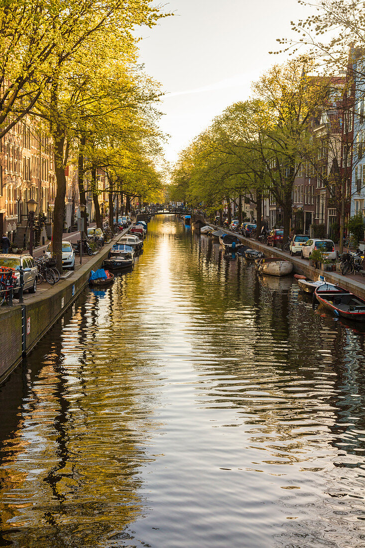 Canal, central Amsterdam, The Netherlands