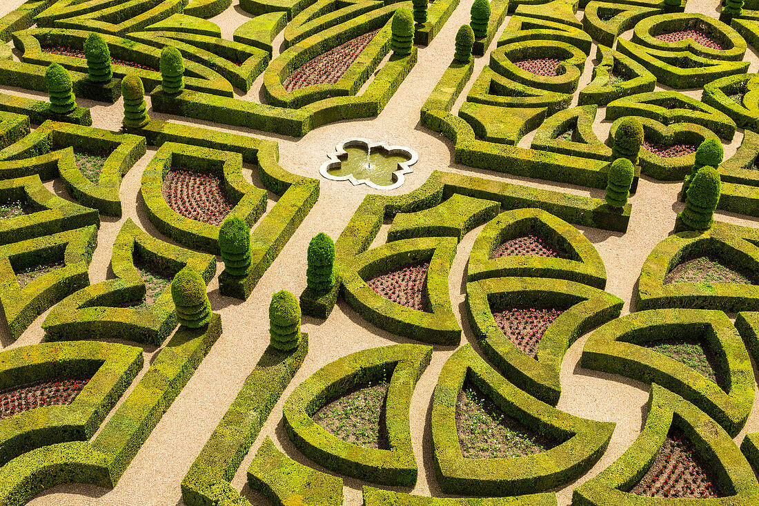 Formal gardens, Chateau of Villandry, Indre et Loire, Loire Valley, France