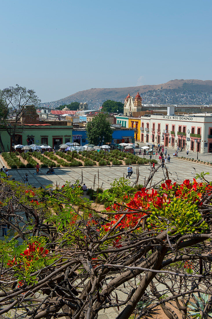 Blick auf die Plaza Santo Domingo vom Museum der Kulturen von Oaxaca, das sich in einem ehemaligen Kloster neben der Kirche von Santo Domingo de Guzman in der Stadt Oaxaca de Juarez, Oaxaca, Mexiko befindet.