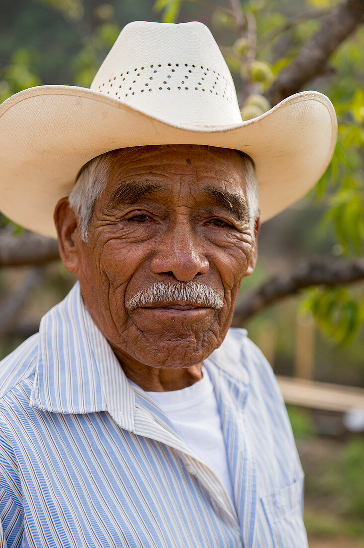 Mexikanischer Mann (der Älteste) im mixtekischen Dorf San Juan Contreras in der Nähe von Oaxaca, Mexiko.
