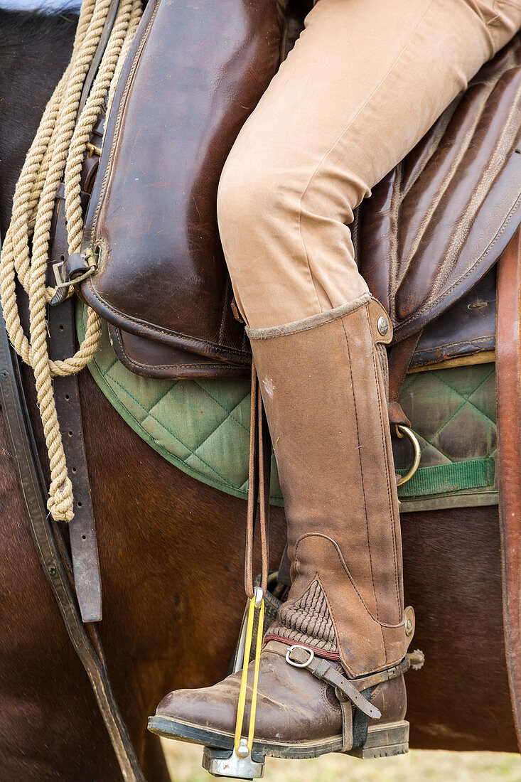 Nahaufnahme von einem italienischen Cowboystiefel im Steigbügel auf Pferd, Toskana, Italien