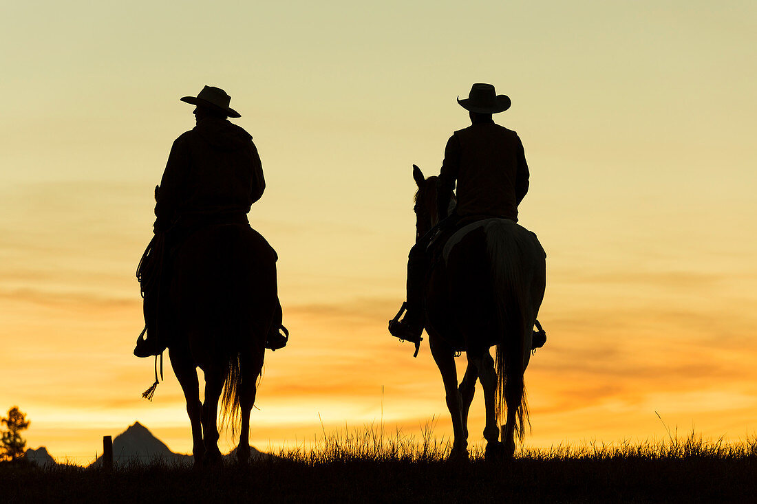 Cowboys & horses in silhouette at dawn on ranch, British Colombia, Canada. Model released.