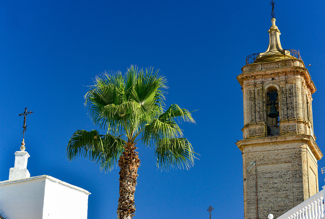 Church tower and palm tree under a wonderful blue sky, near Pilas, Andalusia, Spain