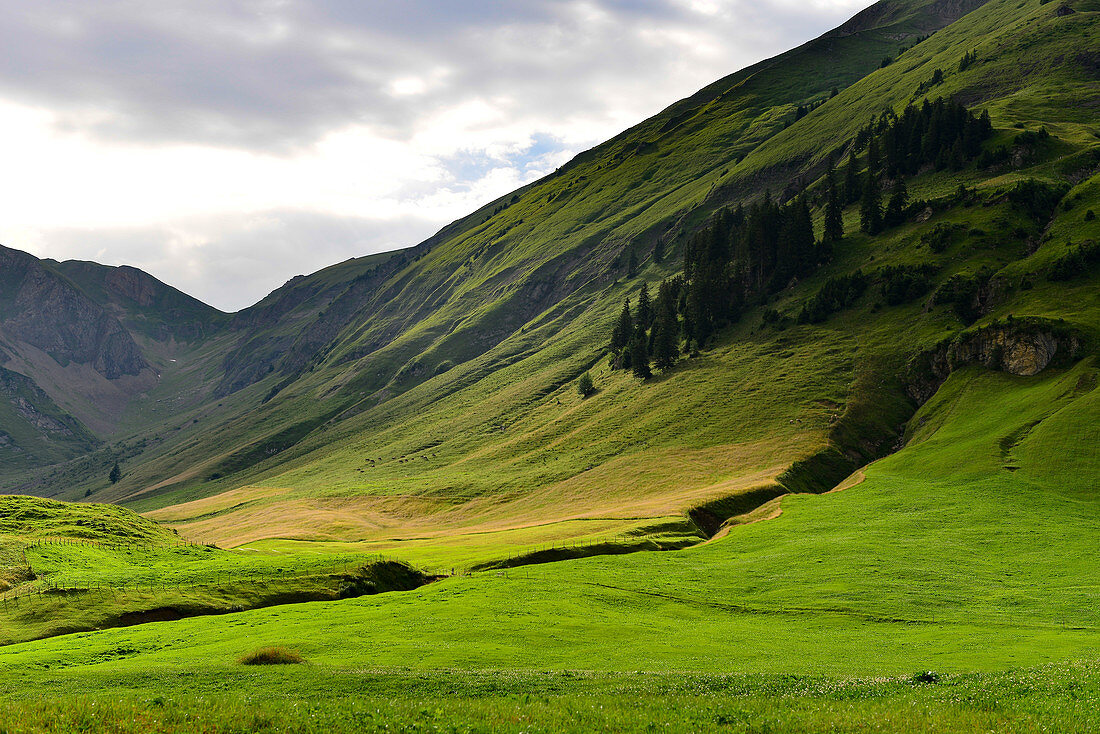 Sonnenlicht fällt in ein weites Tal in den Alpen, am Gitschenen, bei Isenthal, Kanton Uri, Schweiz