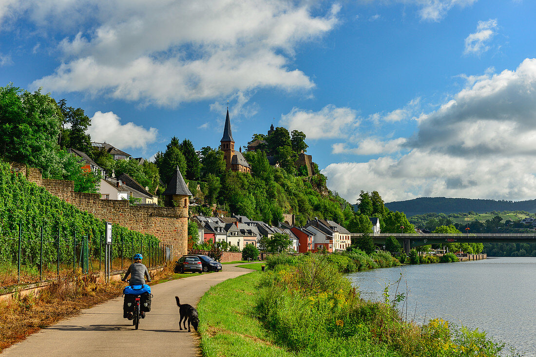 Fahrradreisende mit vollem Gepäck und Hund auf dem Radweg entlang der Saar, Blick auf Saarburg, Rheinland-Pfalz, Deutschland