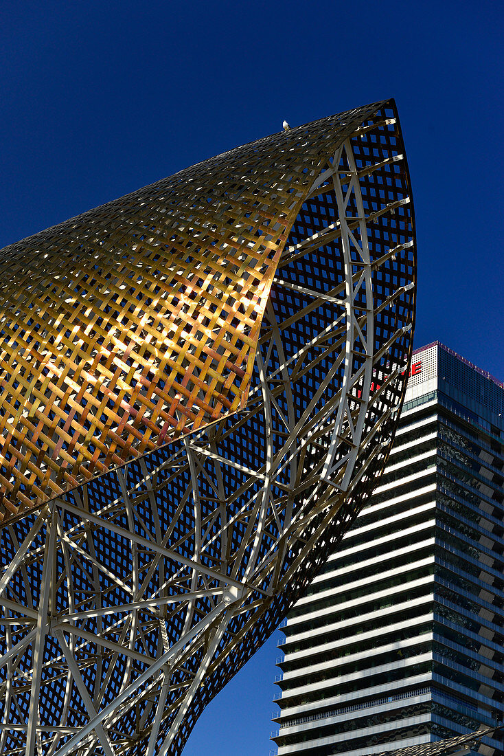 The golden roof of El Pez Dorado against a blue sky, Barcelona, Catalonia, Spain