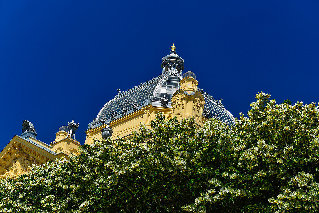 Blooming trees in front of the roof of the Mimara Museum, Zagreb, Croatia