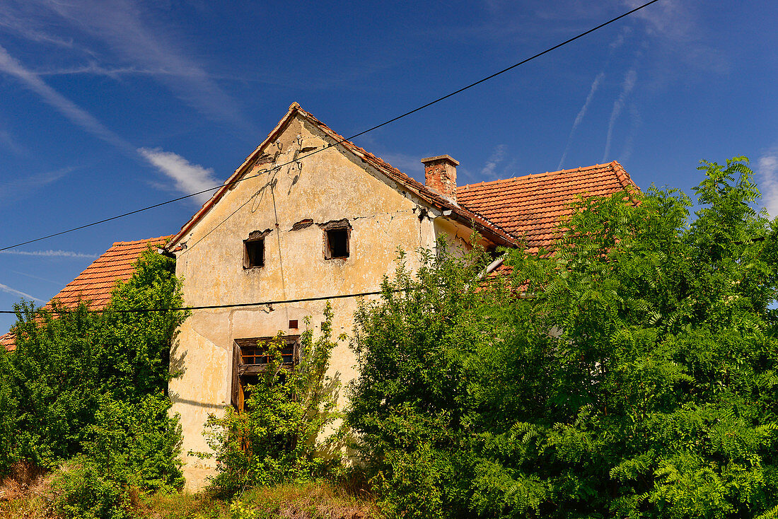 Verfallenes und zugewuchertes Haus bei Mreznicki, Kroatien
