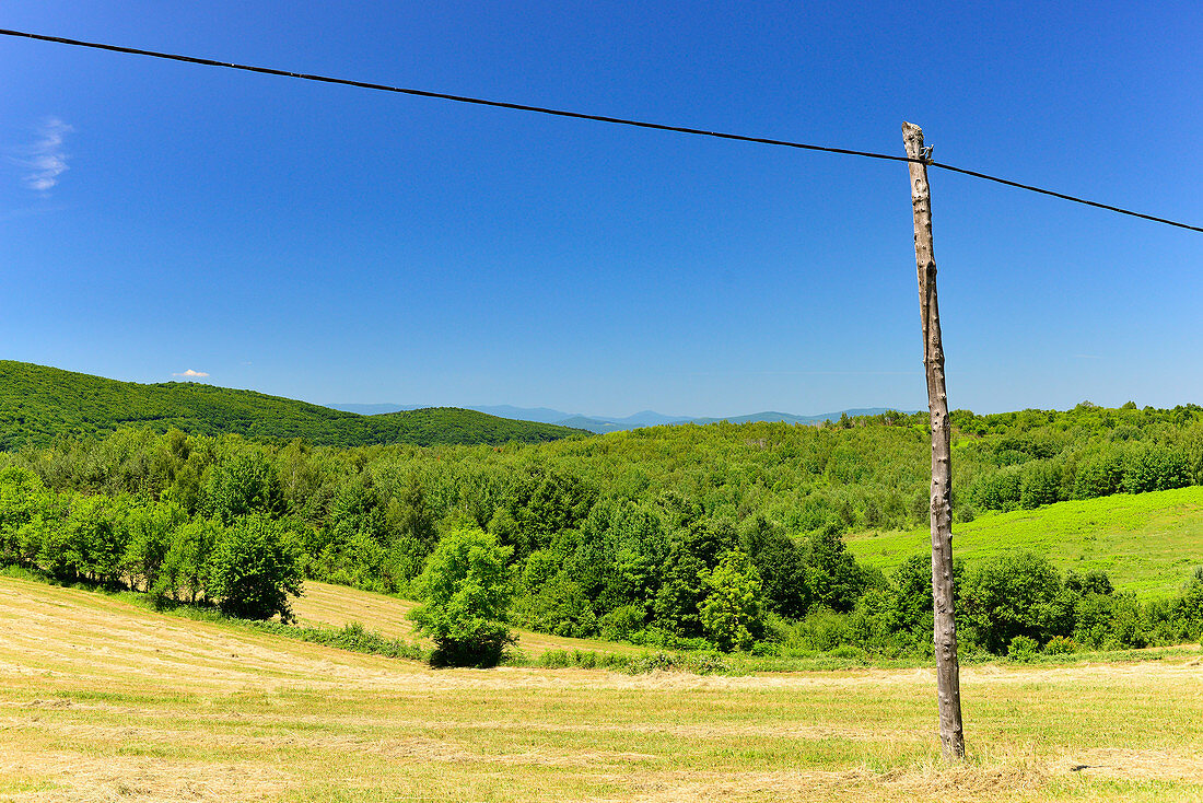 Einsame Weite mit Feldern und Wald und einem Telegrafenmast bei Perjasica, Karlovac, Kroatien