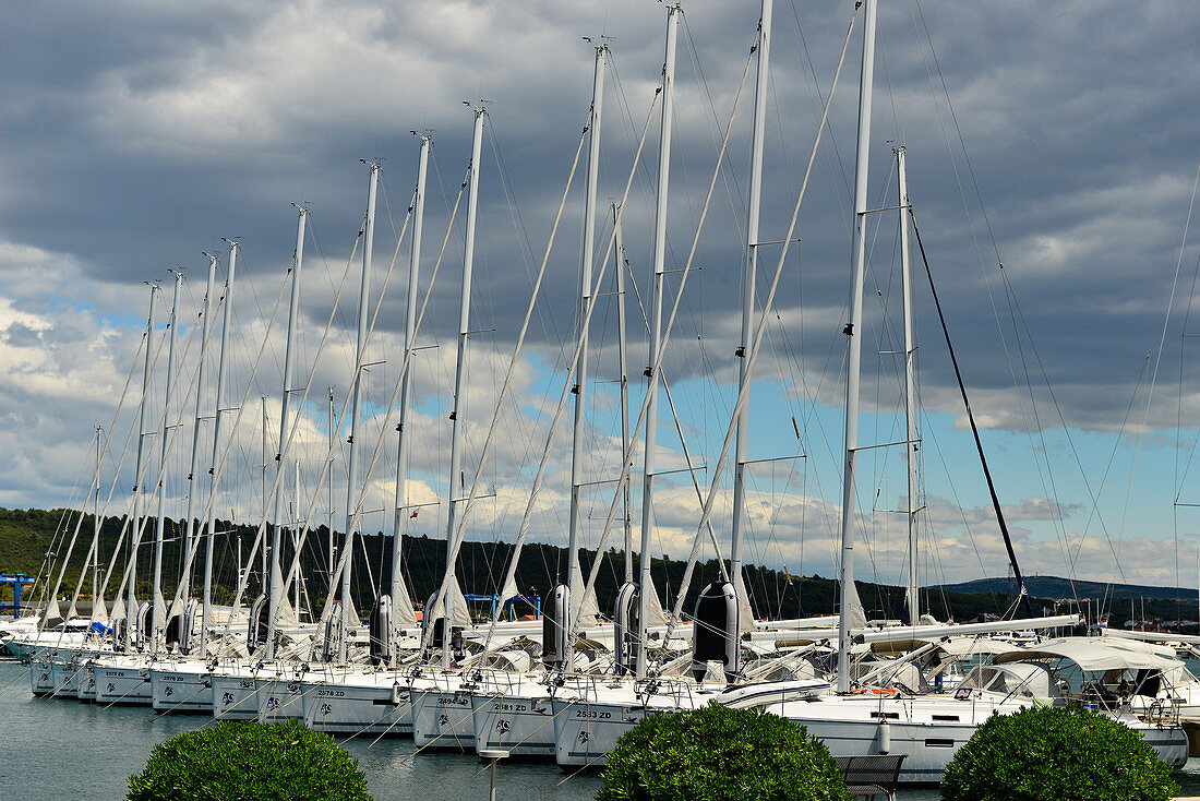 Marina mit vielen Segelbooten im Yachthafen von Bibinje bei Zadar, Dalmatien, Kroatien