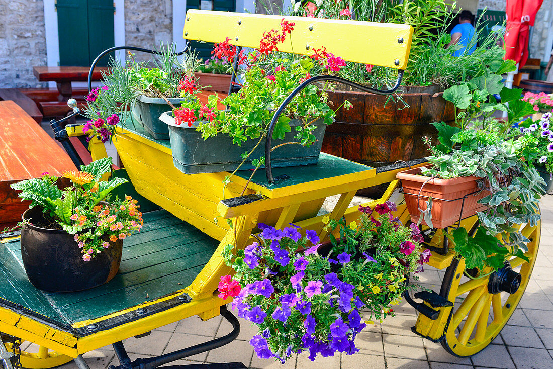Horse-drawn carriage decorated with colorful flowers in Vodice, Adriatic Sea, Croatia