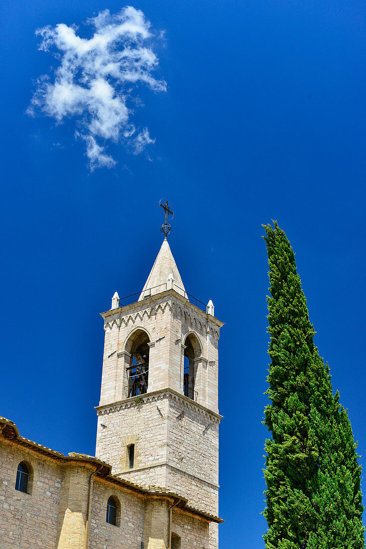 Kirchturm und Zypresse vor herrlich blauem Himmel, Foligno, Provinz Perugia, Italien