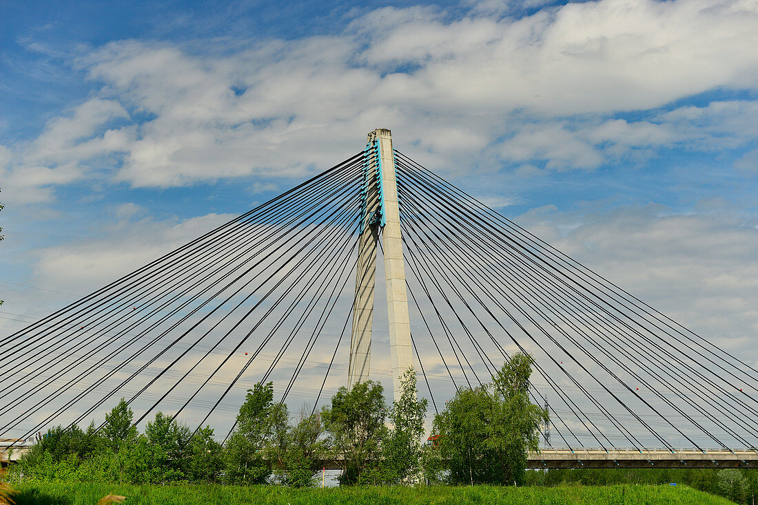 Striking steel cable bridge over the Danube near Tulln, Austria