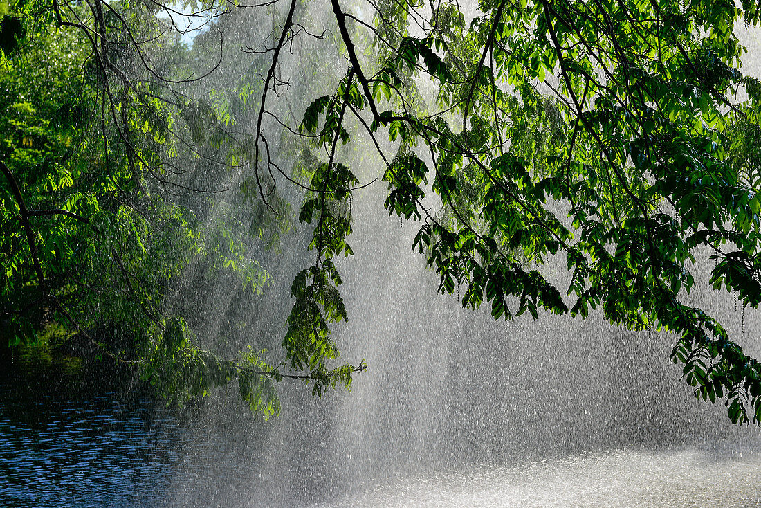 Springbrunnen mit Wassertropfen im Gegenlicht in einem Park in Wien, Österreich