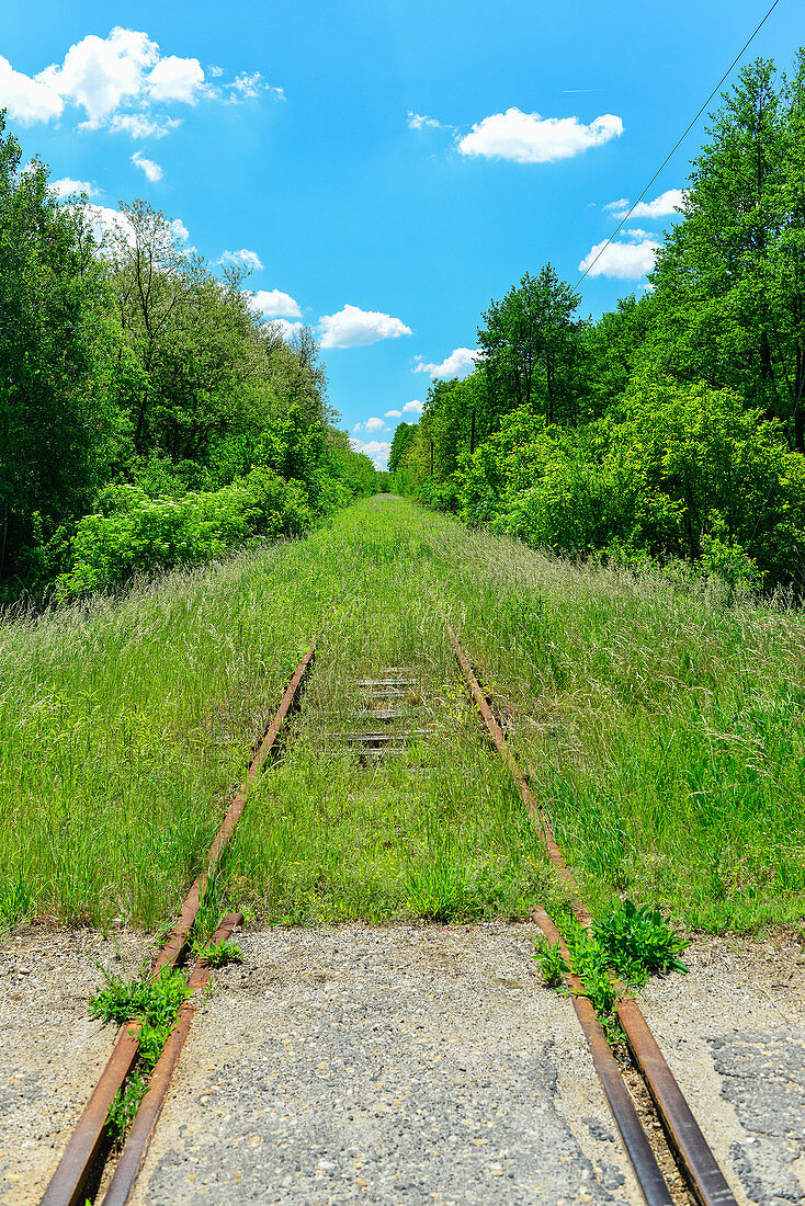 Zugewachsene, stillgelegte Bahnstrecke zwischen Bäumen, Nadasd, Ungarn