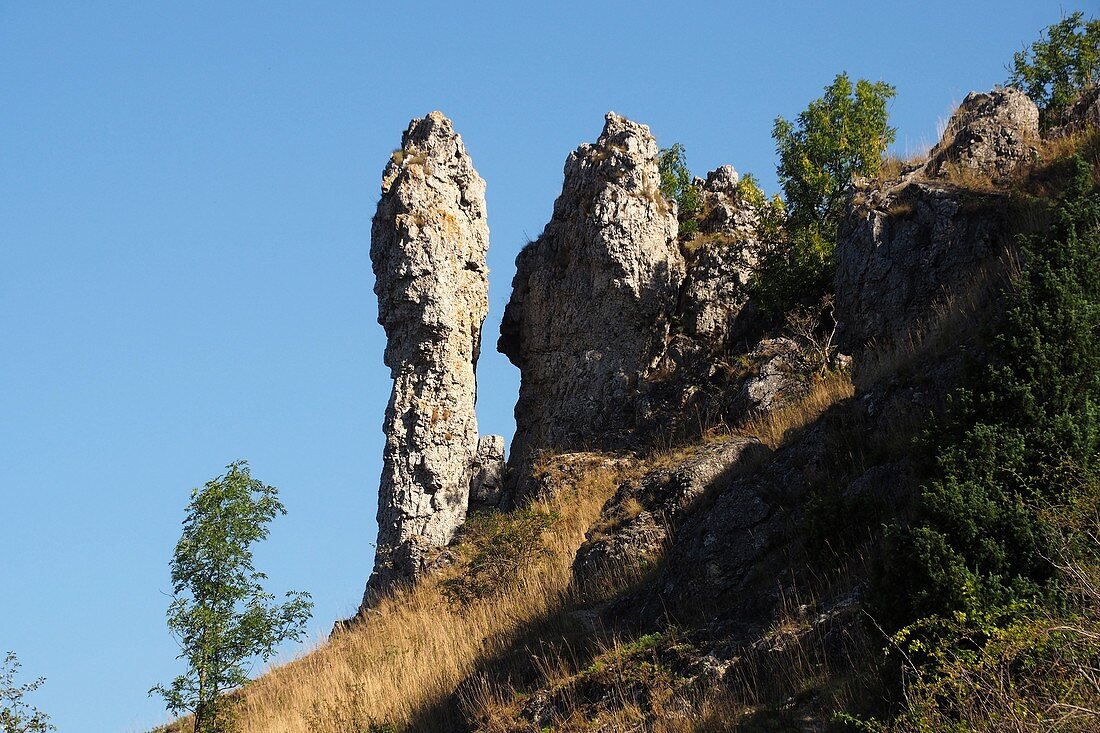 Felsformation auf der Walberla bei Kirchehrenbach, Fränkische Schweiz, Oberfranken, Bayern, Deutschland