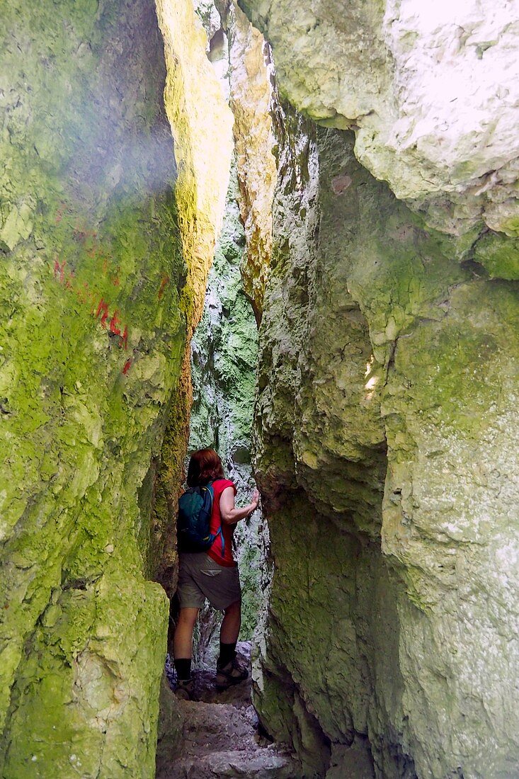 Wandern bei Streitberg im Wisenttal, Schlucht, Fränkische Schweiz, Oberfranken, Bayern, Deutschland