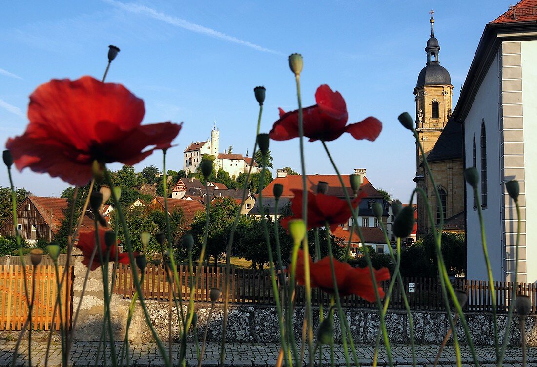 Blick auf Basilika und Burg, Gößweinstein, Mohnblumen Rot, Ansicht, von unten, Blumen, Fränkische Schweiz, Ober-Franken, Bayern, Deutschland