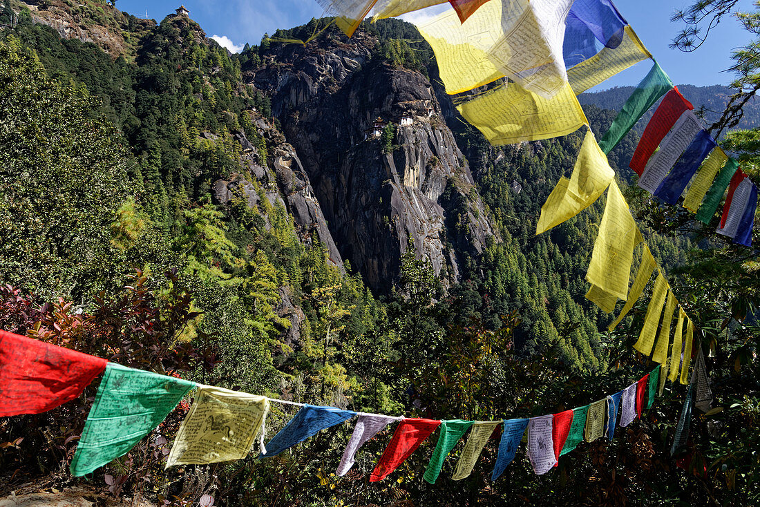 Tausende Gebetsfahnen wehen über dem Weg zum Kloster Tigernest, Taktsang, Bhutan, Asien