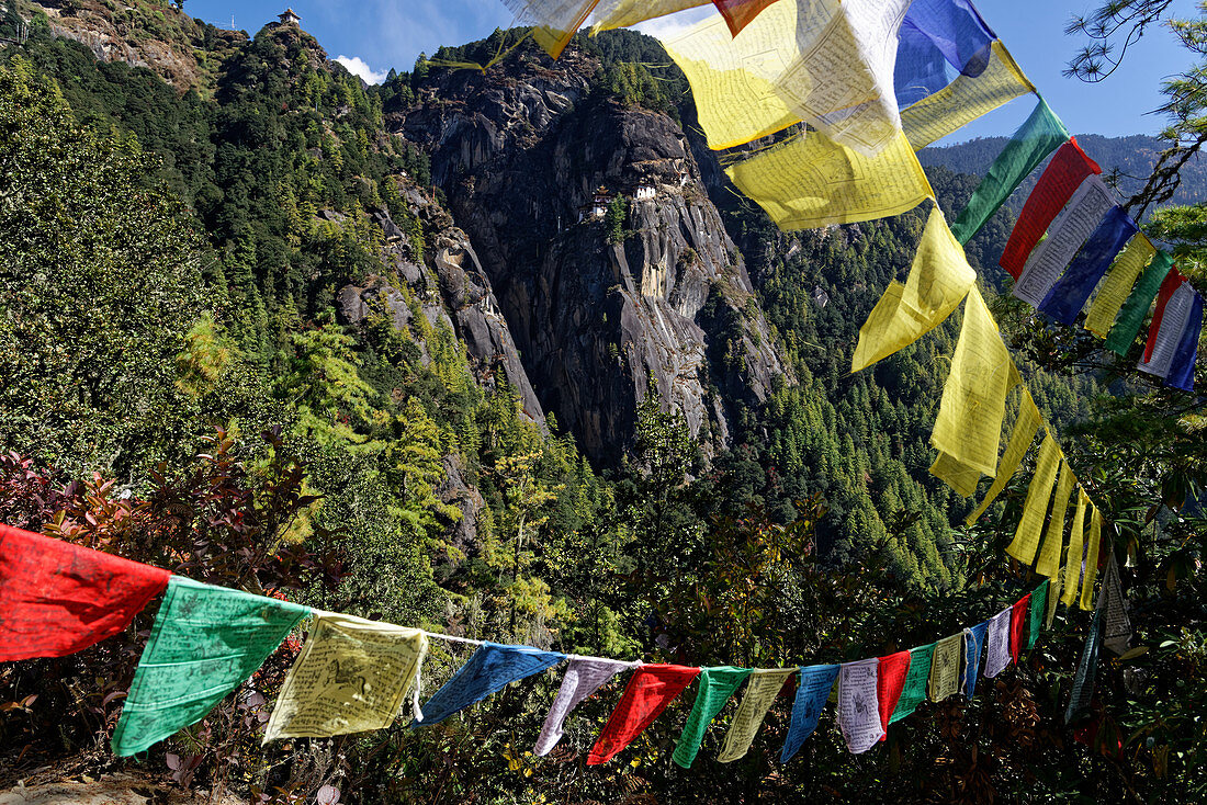 Thousands of prayer flags fly over the way to the tiger's nest.