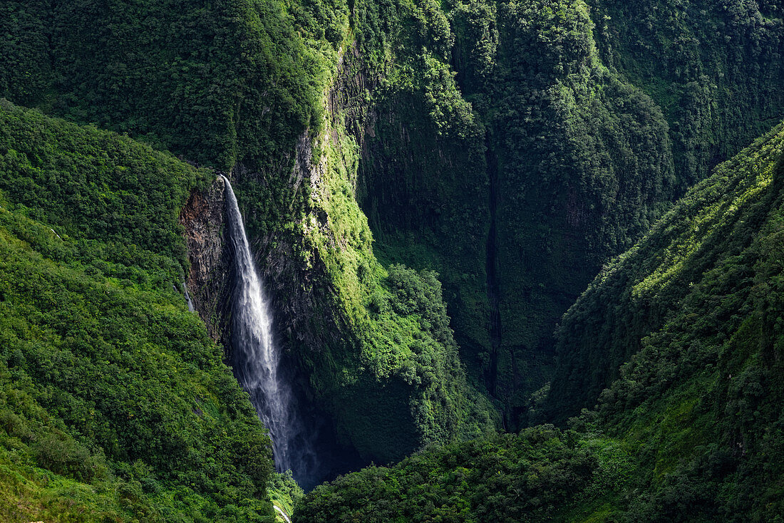 Der Wasserfall Trou de Fer am Rande des Foret Bélouve, La Réunion, Frankreich