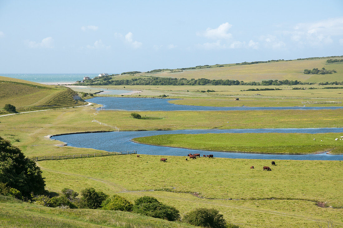 Cuckmere Haven mit Fluss und Tal und Blick auf das Meer in der Ferne, East Sussex, Vereinigtes Königreich