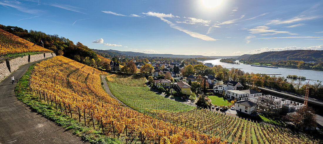 View of the autumnal Rhine near Bad Honnef, Germany
