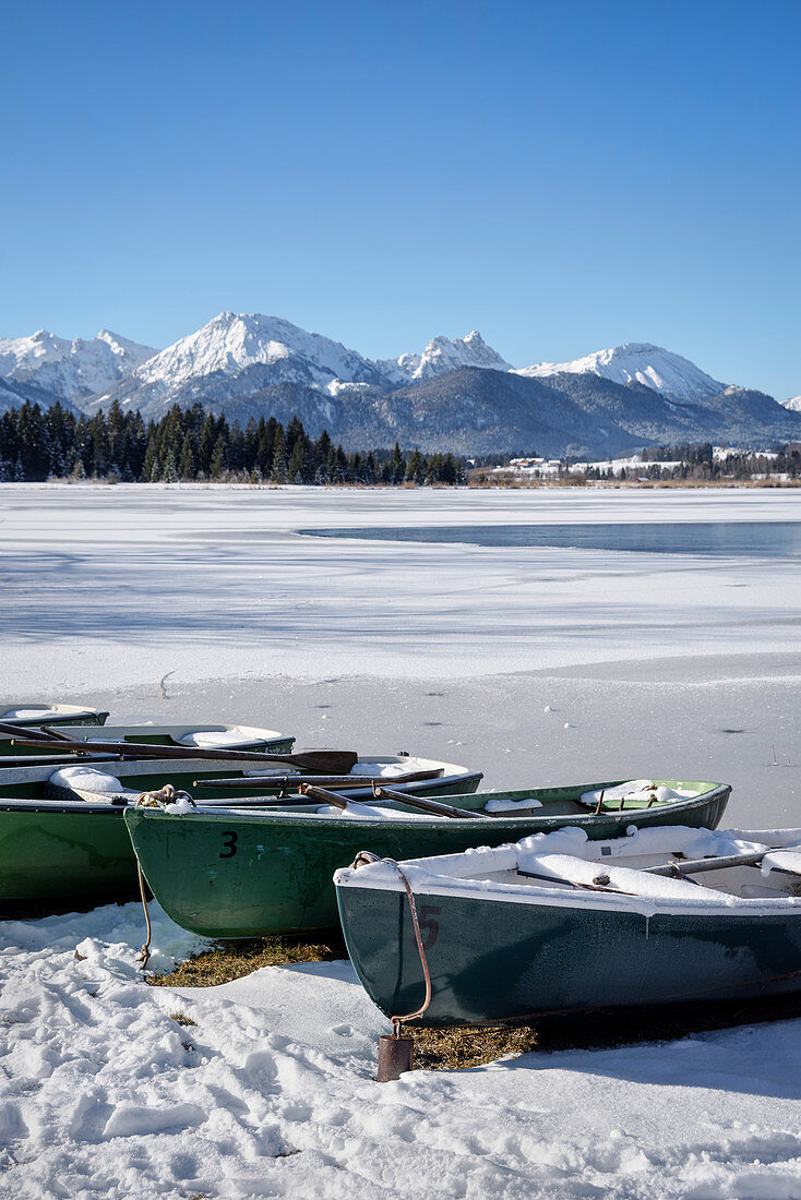 Boote am Ufer von zugefrorenem Hopfensee im Winter, Hopfen am See, Füssen, Ostallgäu, Bayern, Deutschland