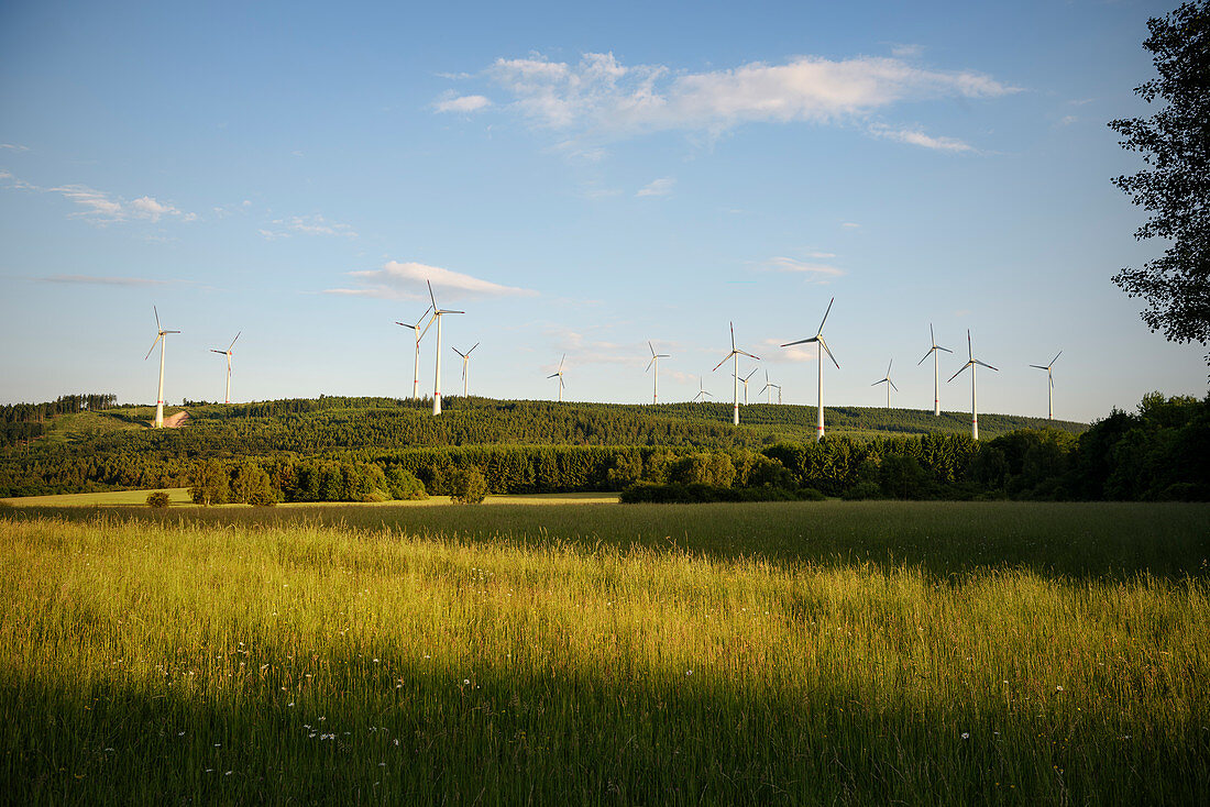 Windpark in den Wäldern von Rheinland-Pfalz, Deutschland, Europa