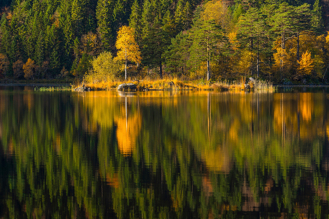 The autumn forest is reflected in the Eibsee, Garmisch-Partenkirchen, Bavaria, Germany