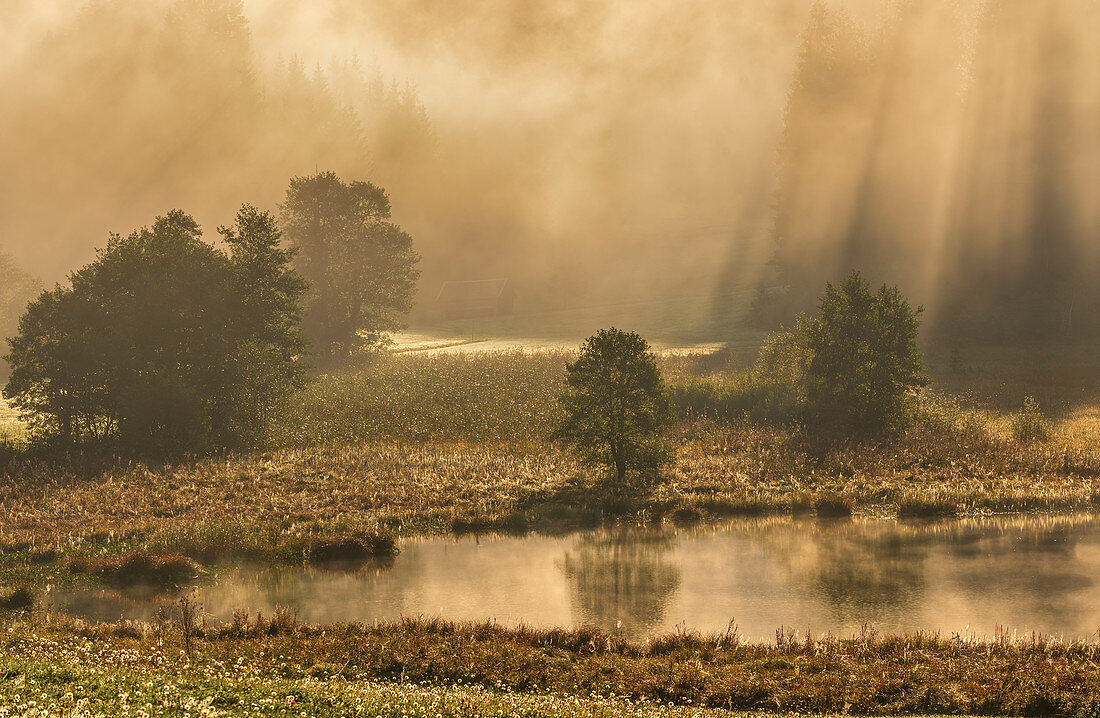 Autumn morning at Geroldsee, Krün, Bavaria, Germany