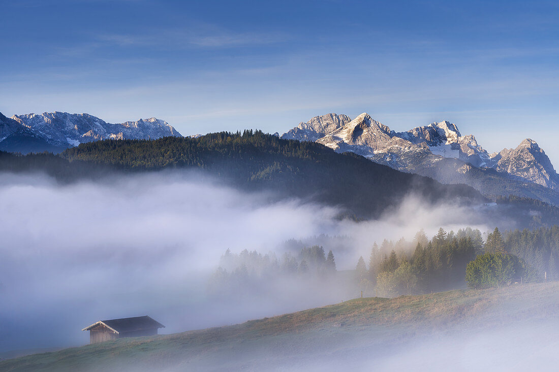 Gerold im dichten Morgennebel, Krün, Bayern, Oberbayern, Deutschland